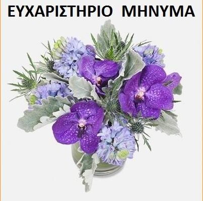 ΕΥΧΑΡΙΣΤΗΡΙΟ ΜΗΝΥΜΑ 2 (Copy)