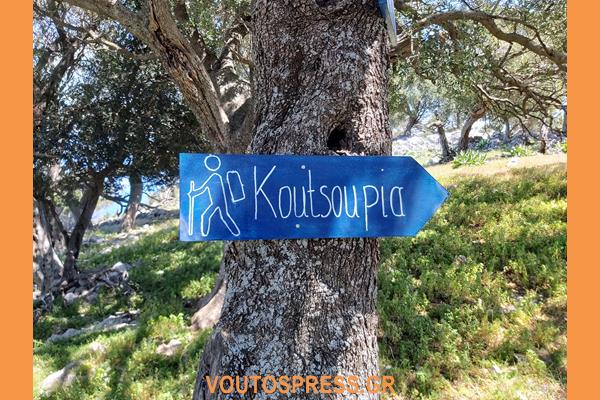 178109707 2332045340273759 3760741367523713076 N (1)