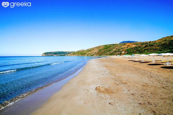 Kaminia Top 1 1280 (Copy)