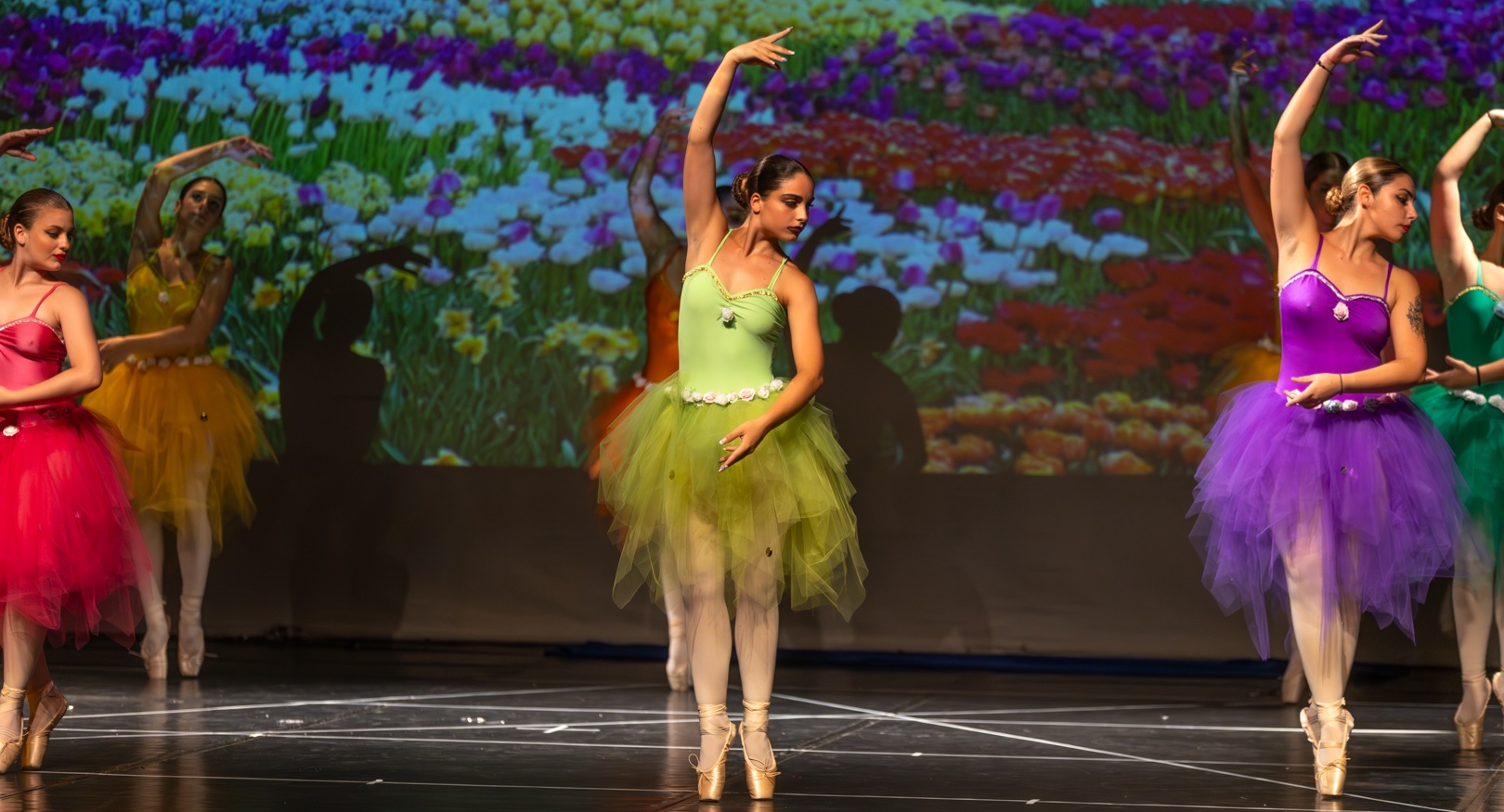 0M2A0776-Enhanced-NR