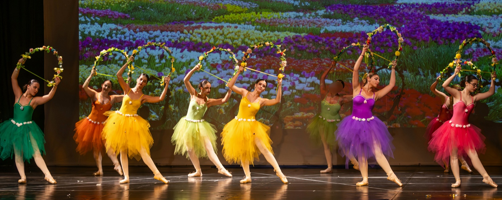 0M2A0819-Enhanced-NR