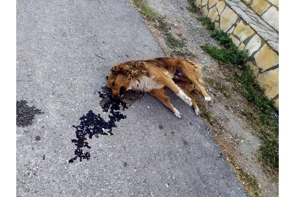 116697612 928325030974729 8202070154732419701 N