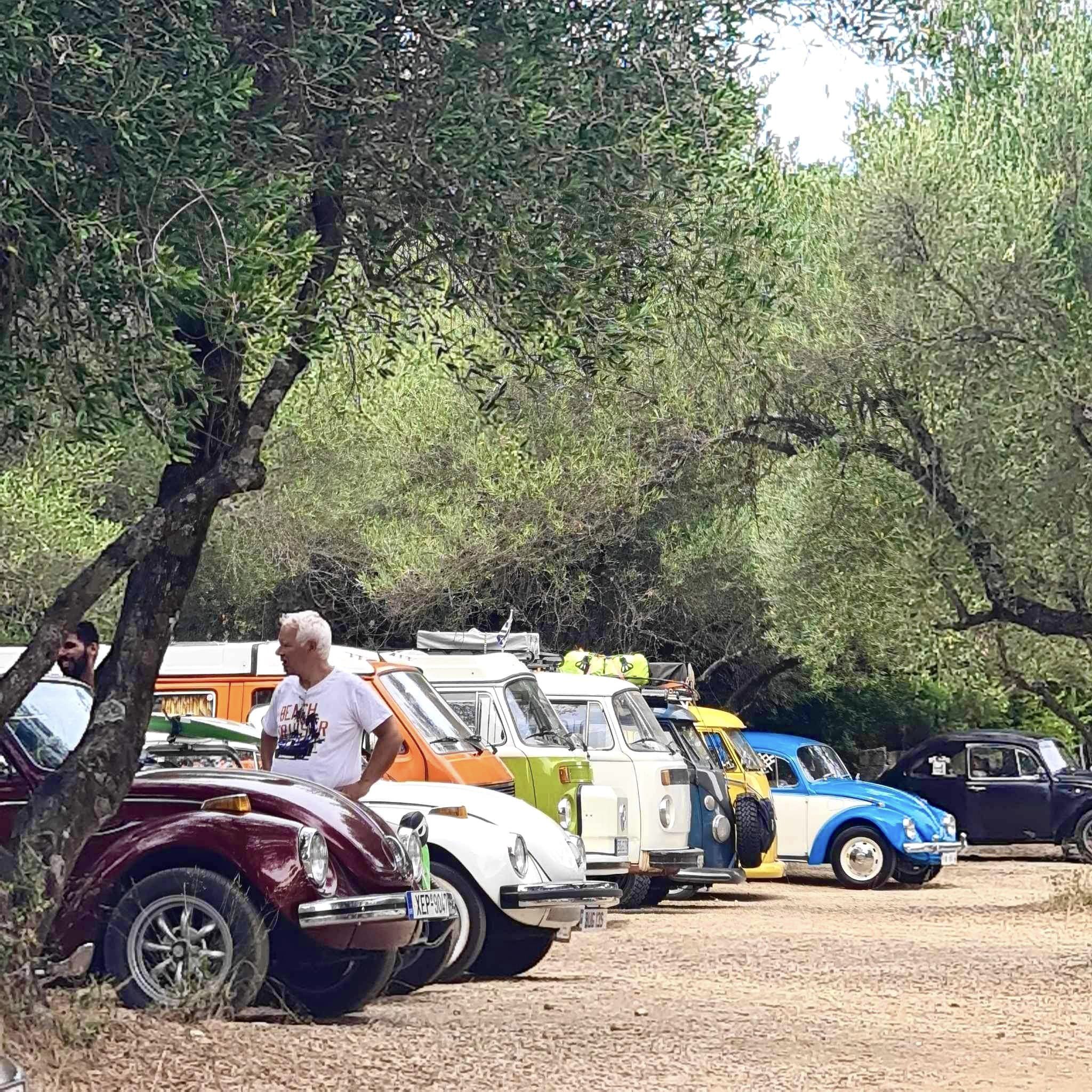 371768303_790915546371376_8668494696033250628_n