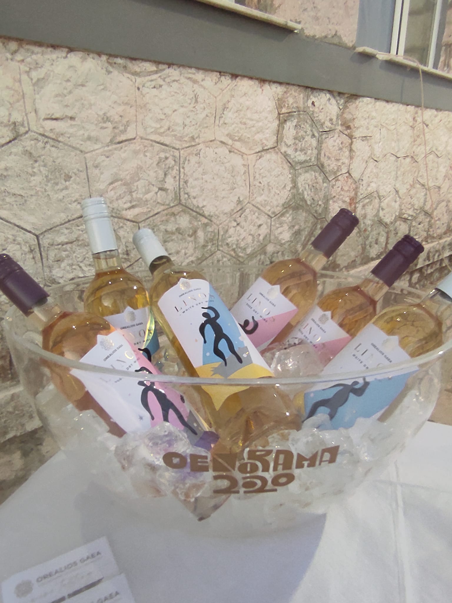 455232393_10229221401216996_1301867382616351250_n