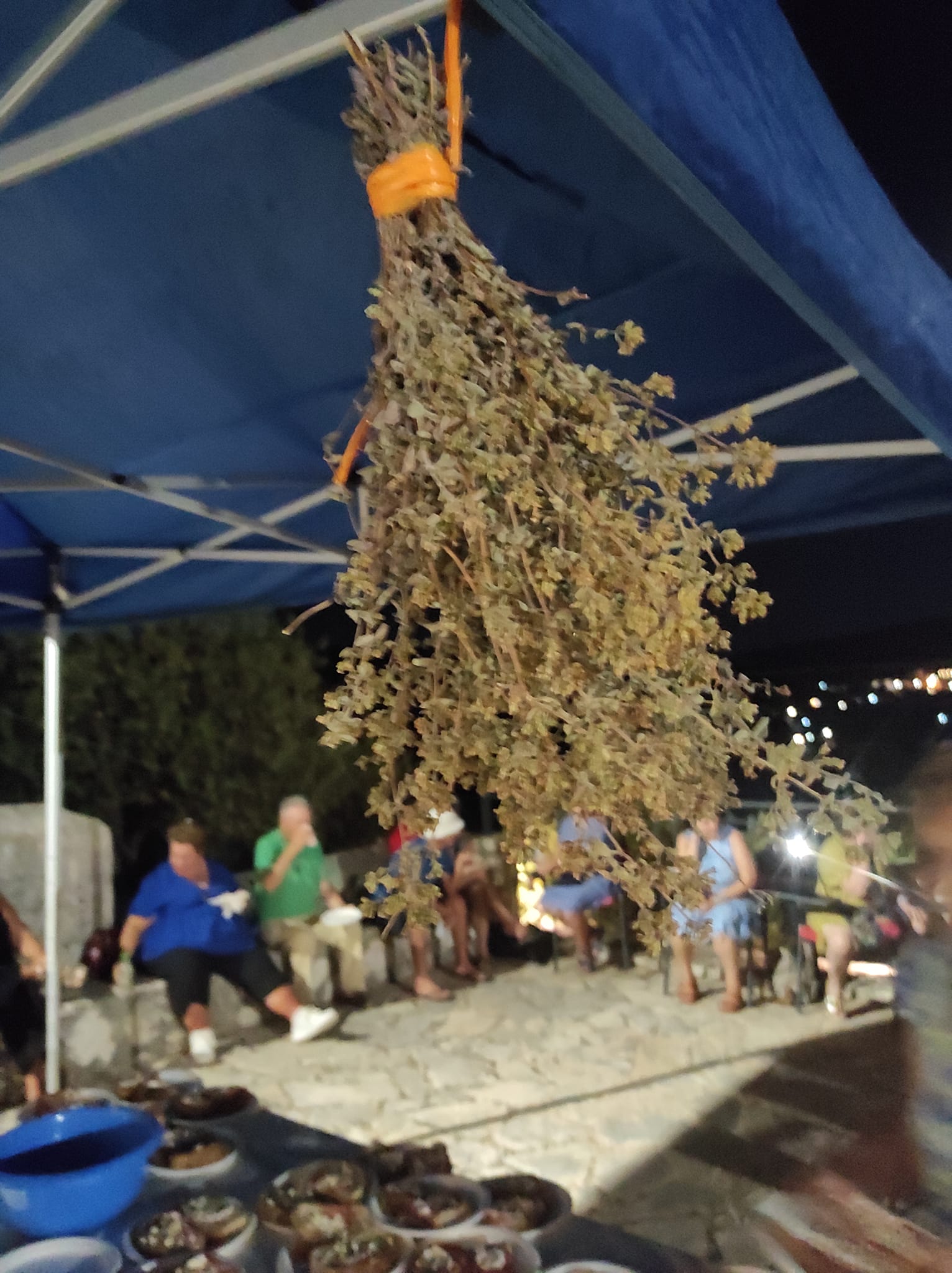 455284601_10229221414417326_7882070866348449890_n