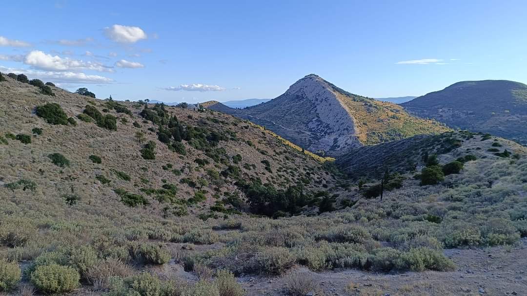 FB_IMG_1726539851117