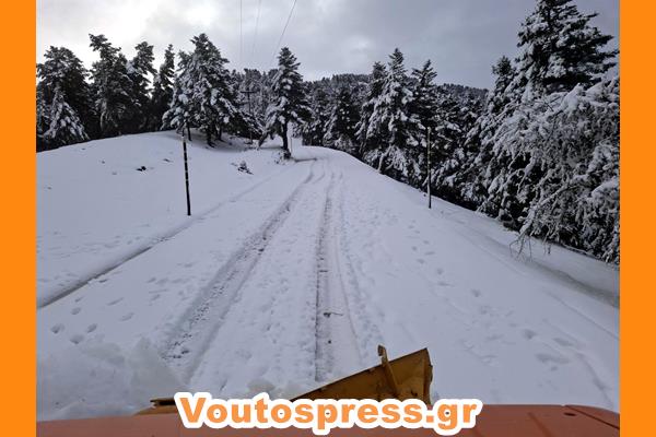 εικόνα Viber 2025 01 15 11 42 50 341