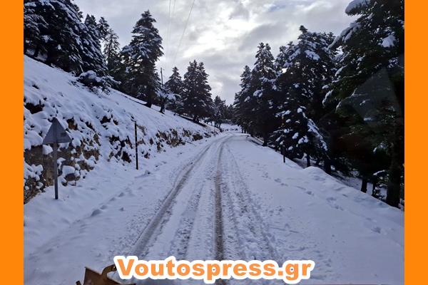 εικόνα_Viber_2025-01-15_11-42-50-483
