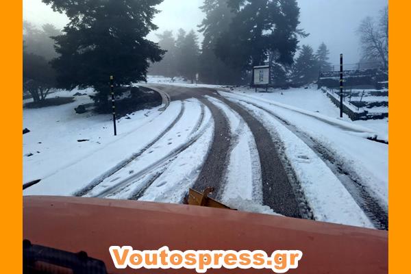 εικόνα_Viber_2025-01-15_11-42-51-385