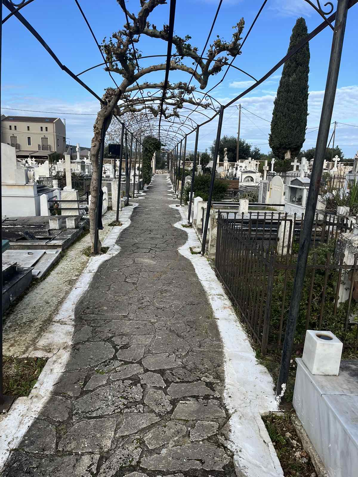 εικόνα_Viber_2025-02-18_11-57-44-712