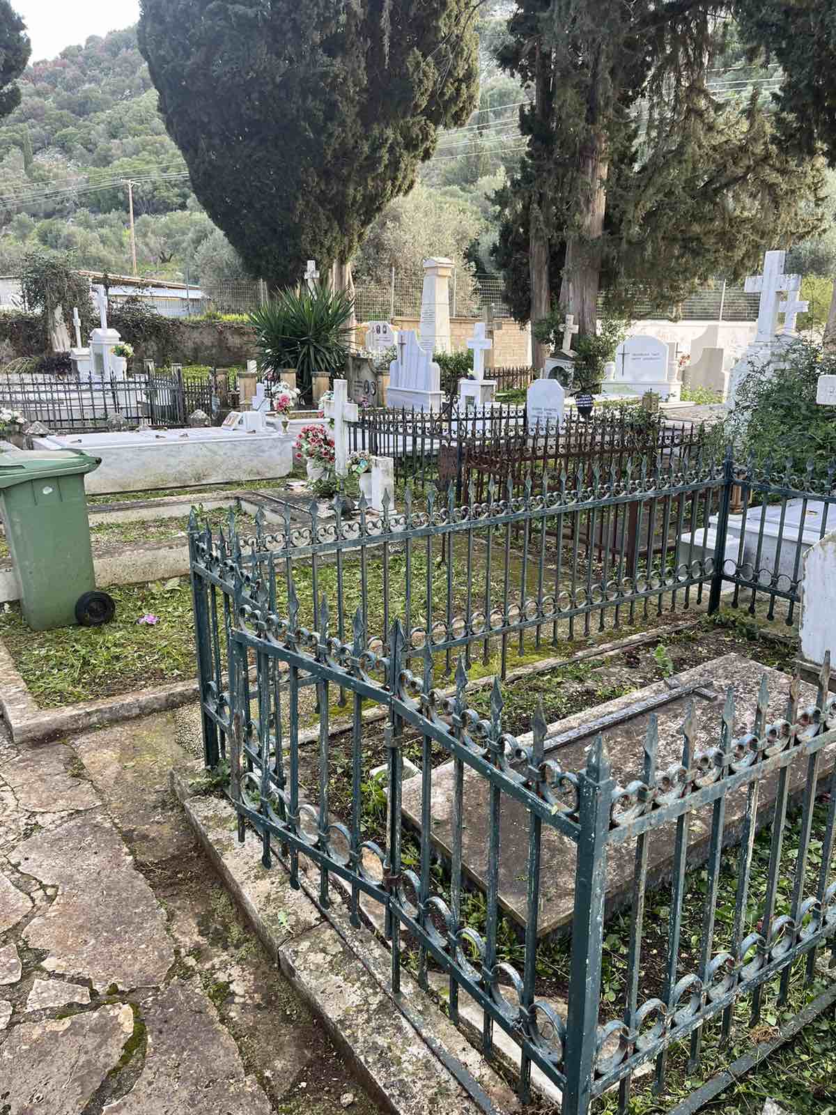 εικόνα_Viber_2025-02-18_11-57-45-746
