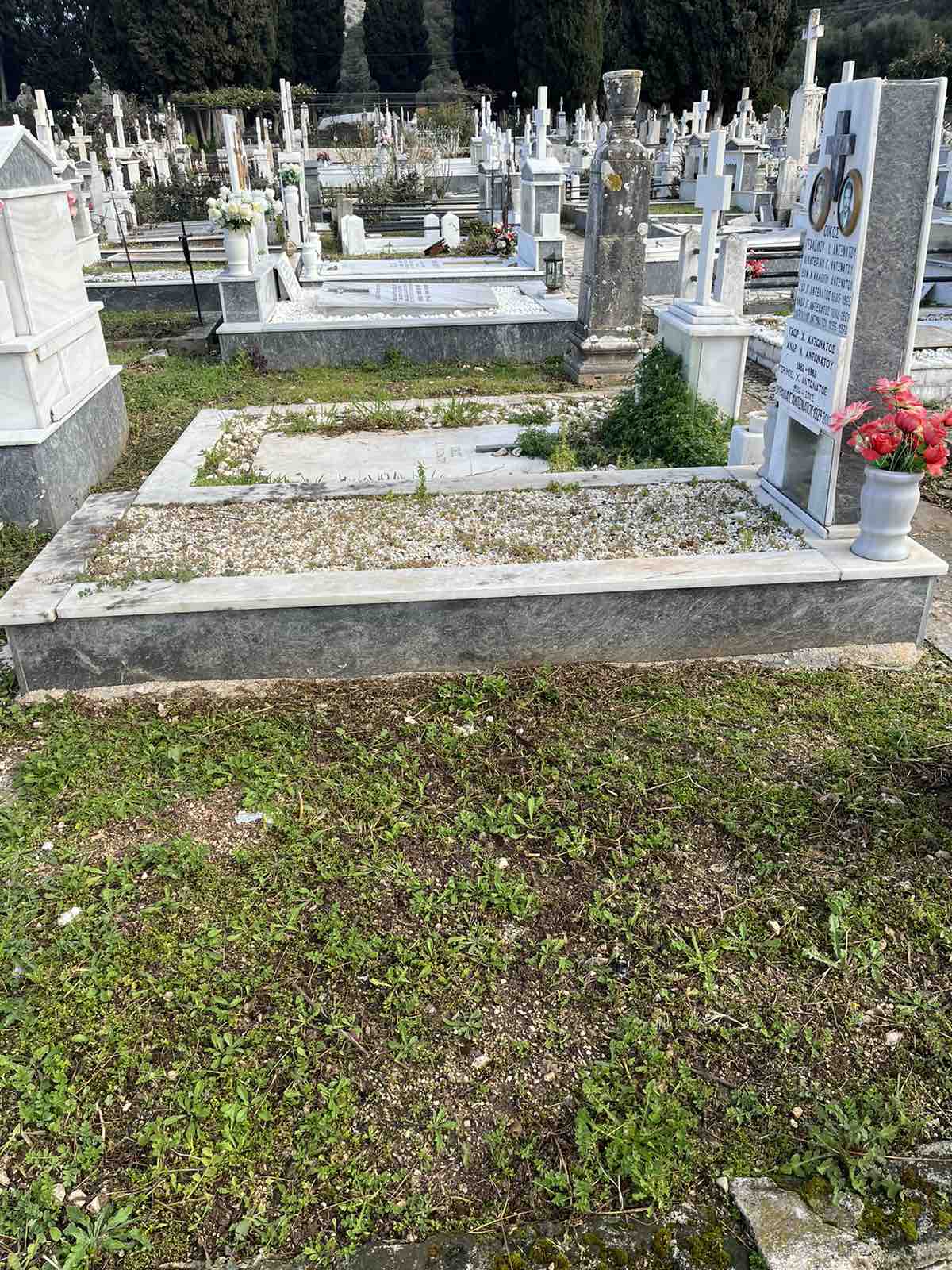 εικόνα_Viber_2025-02-18_11-57-52-245