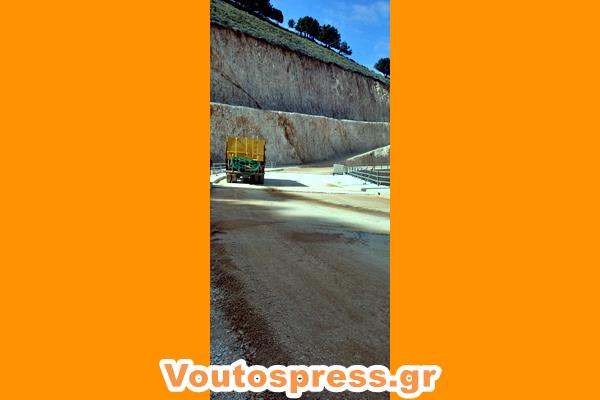 εικόνα_Viber_2025-03-15_19-52-59-396