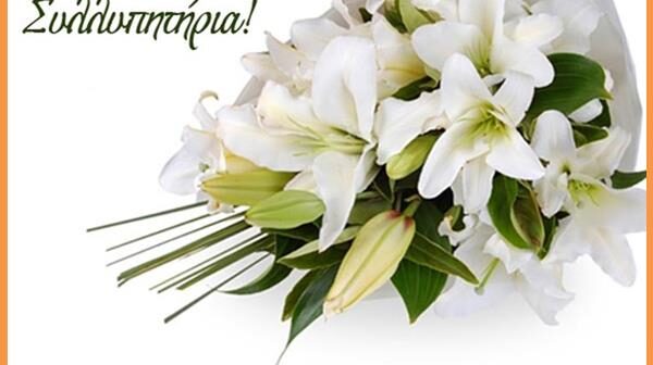 SYLLHPHTHRIA_LOYLOYDIA18-Copy