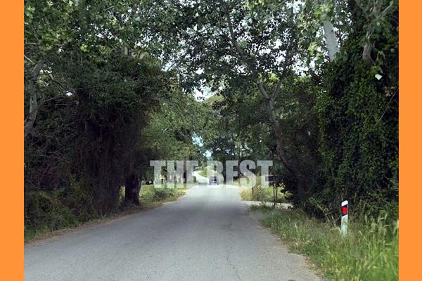 Plgnekbkzf683de481e152e