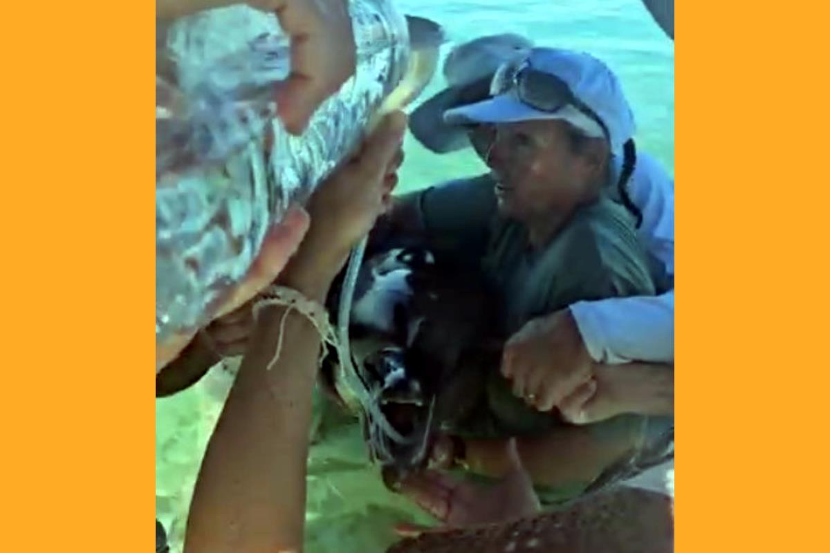 Screenshot 2025 07 21 232432