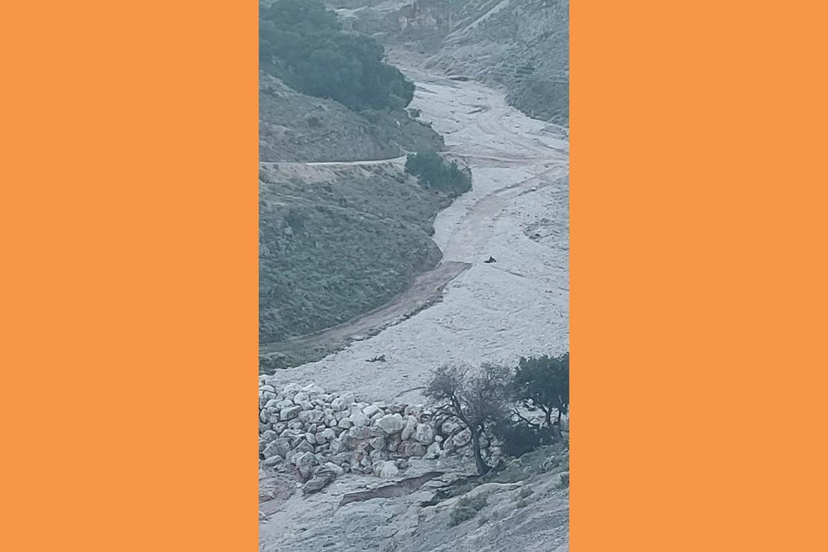 ΠΑΡΤΕ ΜΕΤΡΑ ΠΡΙΝ ΕΙΝΑΙ ΑΡΓΑ  ΓΕΜΙΣΕ ΤΟ ¨ΑΥΛΑΚΙ¨ ΣΤΗΝ ΠΥΛΑΡΟ