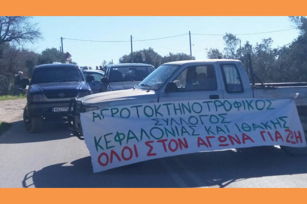 Kefalonia Agrotes (Copy)