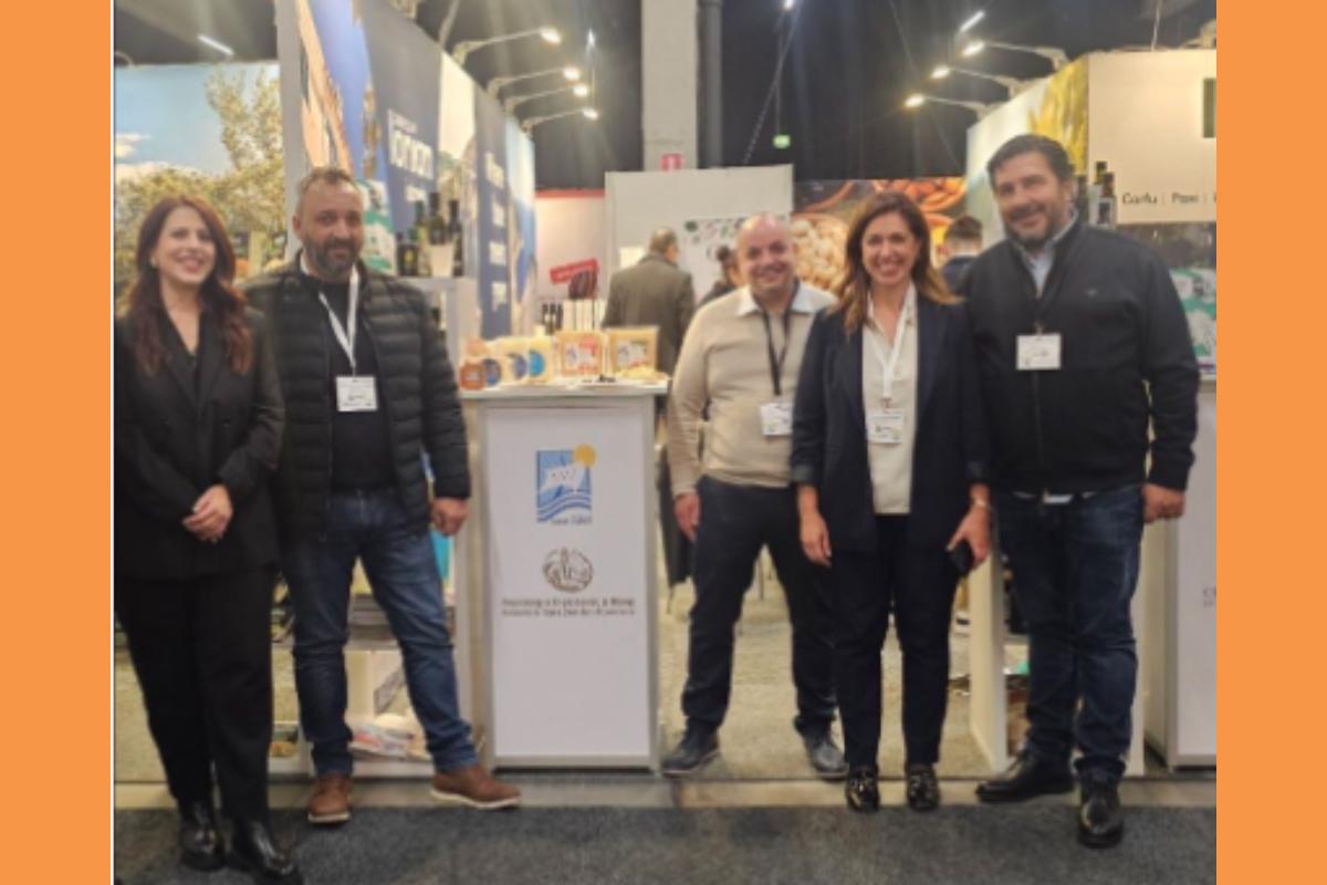 Στιγμιότυπο οθόνης 2025 11 19 174721 (Copy)