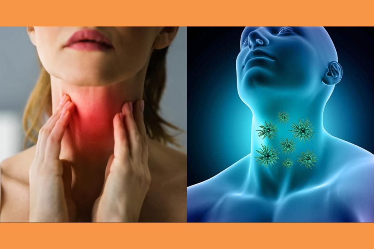  134 1360×714 (Copy)