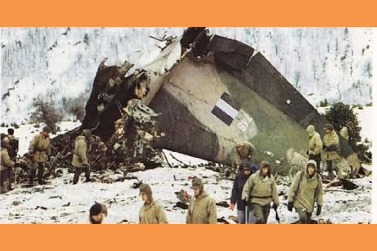 12015050173470090252 (Copy)