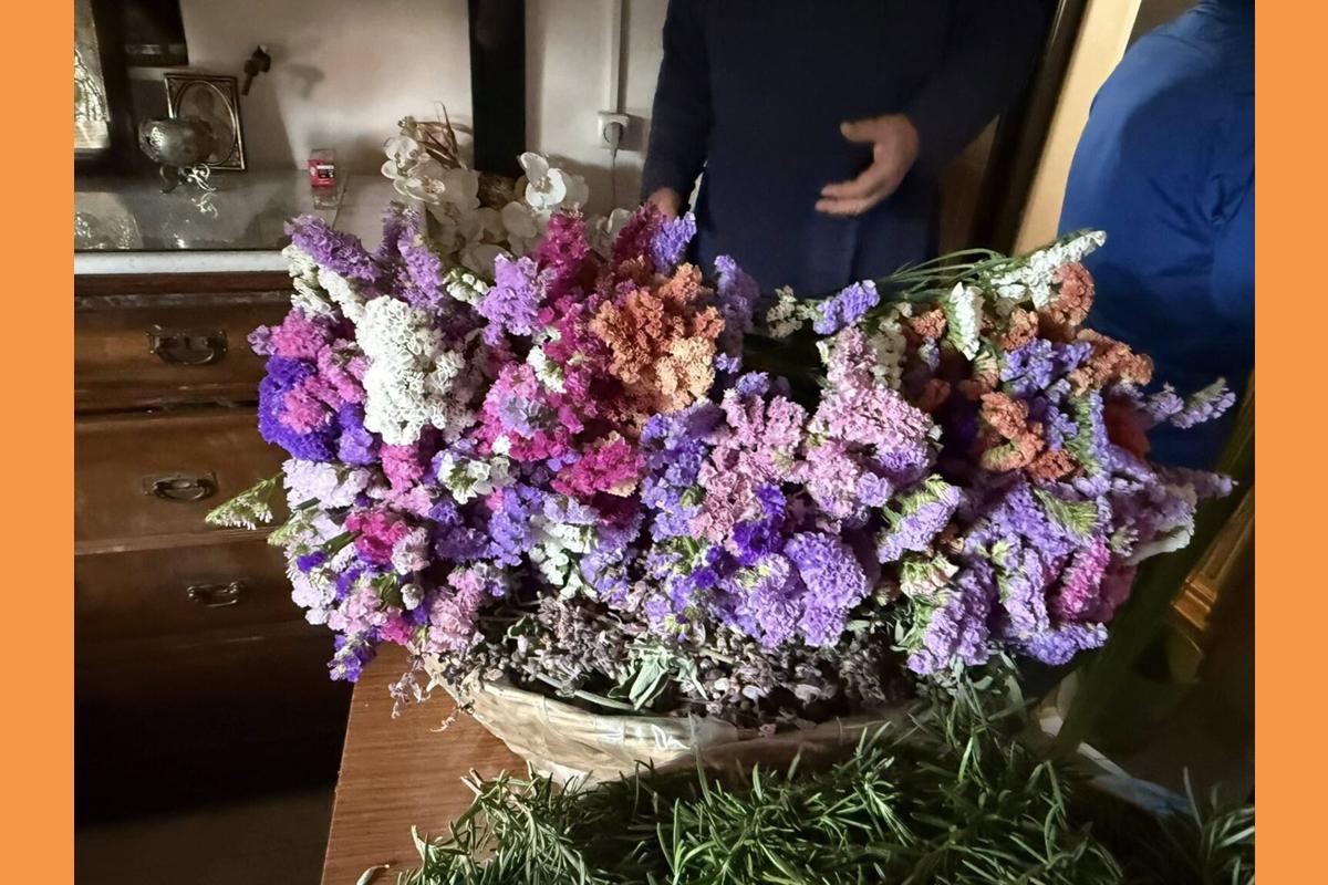 666084834 1448720063961657 1247504836785869870 N 1536×1152 (Copy)