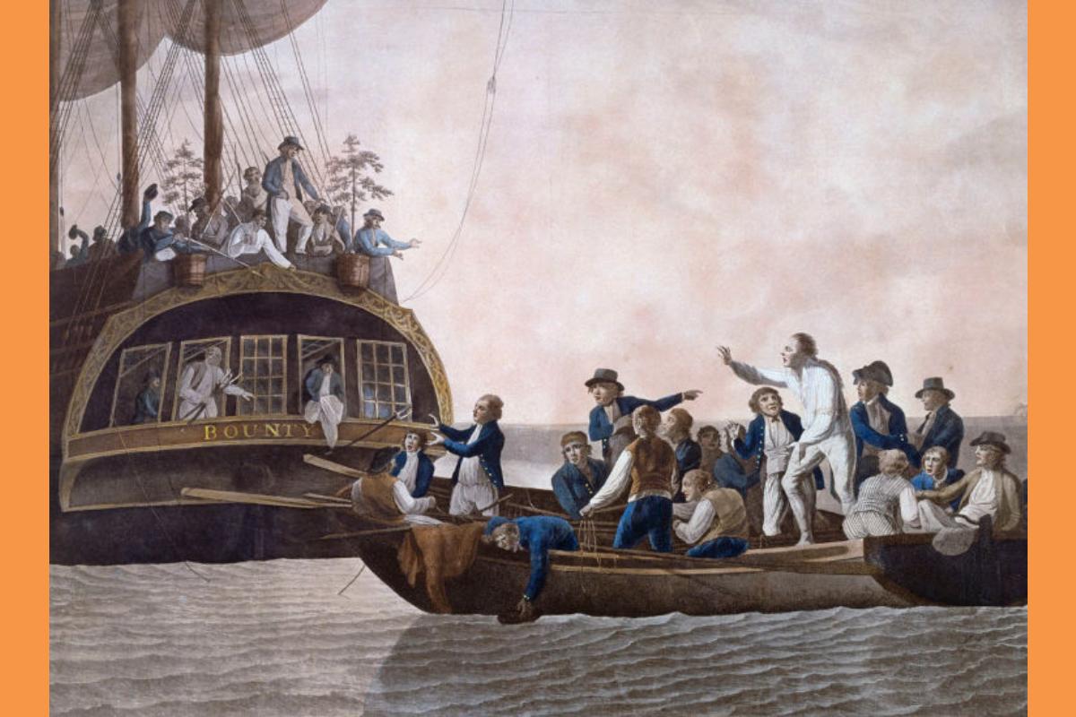 Antarsia Tou Bounty (Copy)