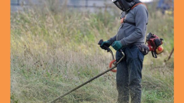 KATHARISMOS-OIKOPEDA4-1024×672-1-768×576 (Copy)