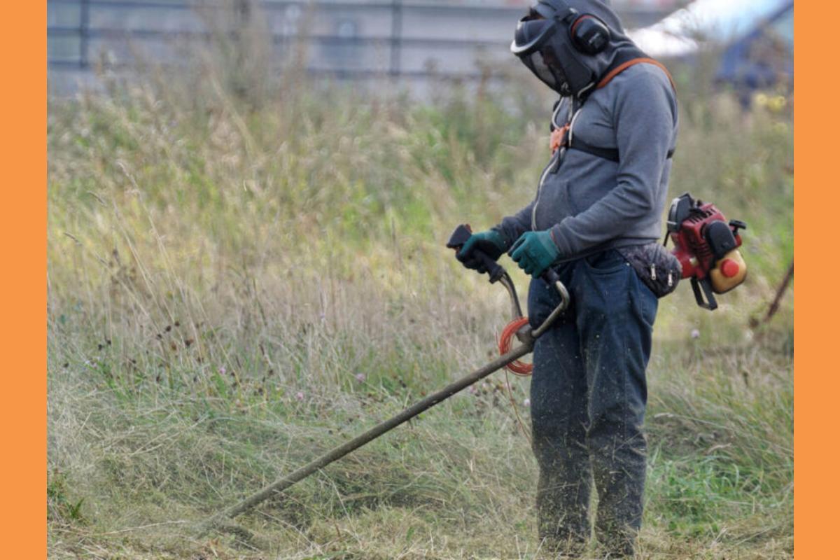 KATHARISMOS OIKOPEDA4 1024×672 1 768×576 (Copy)