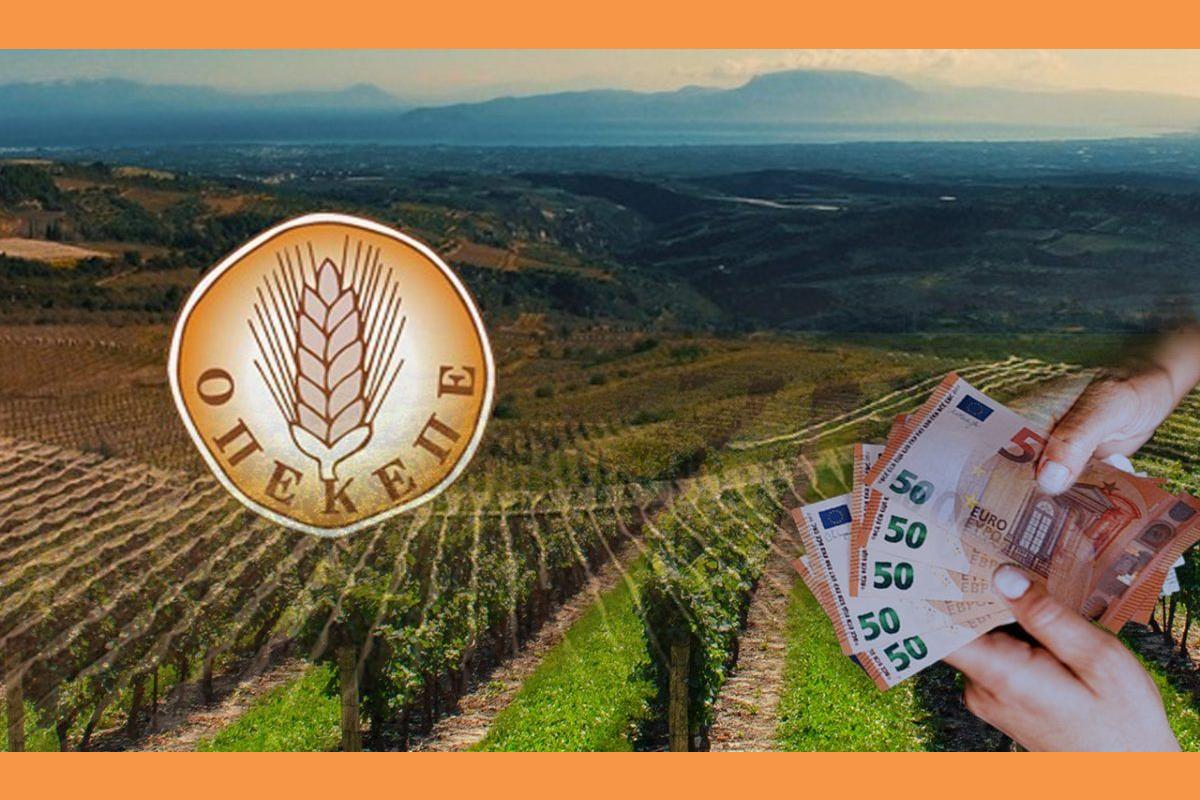 OPEKEPE 2 1200×703 1 (Copy)