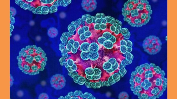 hantavirus-768×576 (Copy)