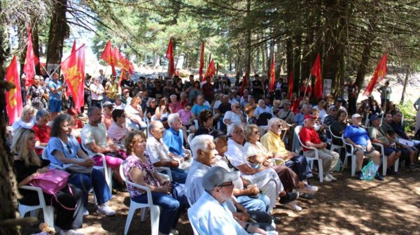 kke80 (Copy)