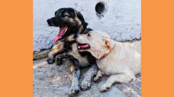 pexels-neslihan-ercan-58134101-8093682 (Copy)