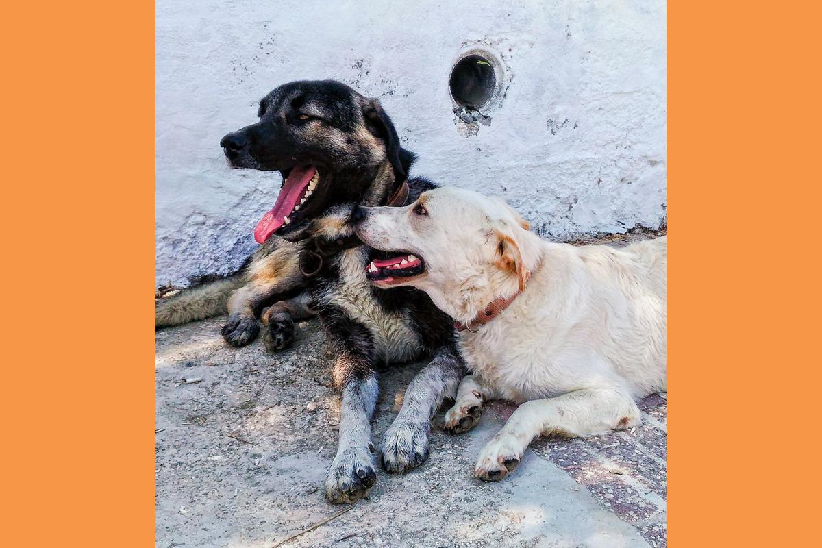 Pexels Neslihan Ercan 58134101 8093682 (Copy)