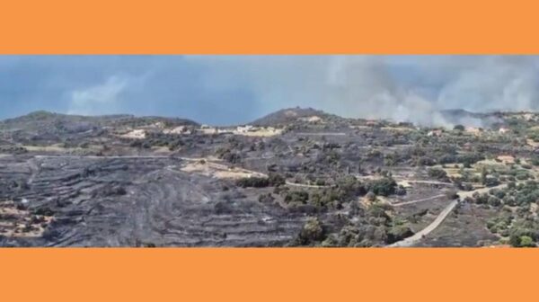 screenshot-5-768×275 (Copy)