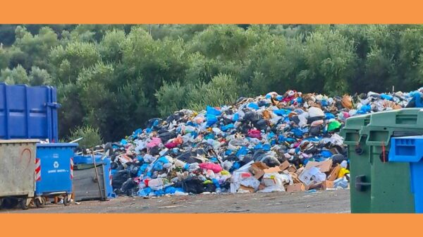 trash (Copy)