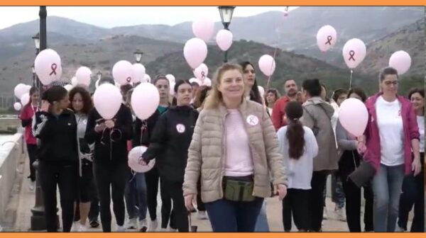 Στιγμιότυπο οθόνης 2026-10-25 163731 (Copy)