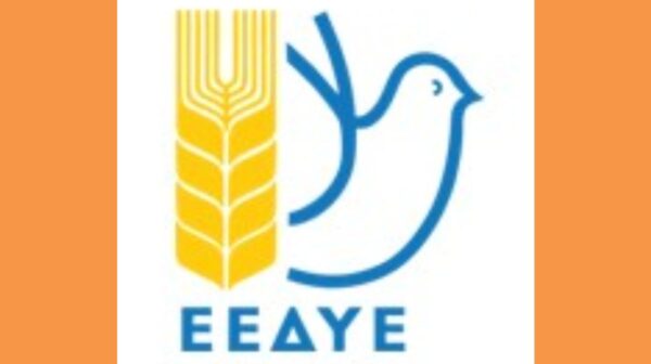Στιγμιότυπο οθόνης 2026-10-28 224642 (Copy)